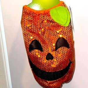 Halloween Pumpkin Dog Costume